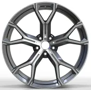 WD0095 alloy wheel